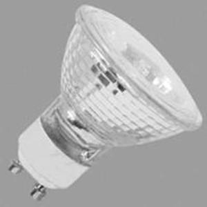 lot 49939 image: FeitElectric 120-Volt Halogen Light Bulb