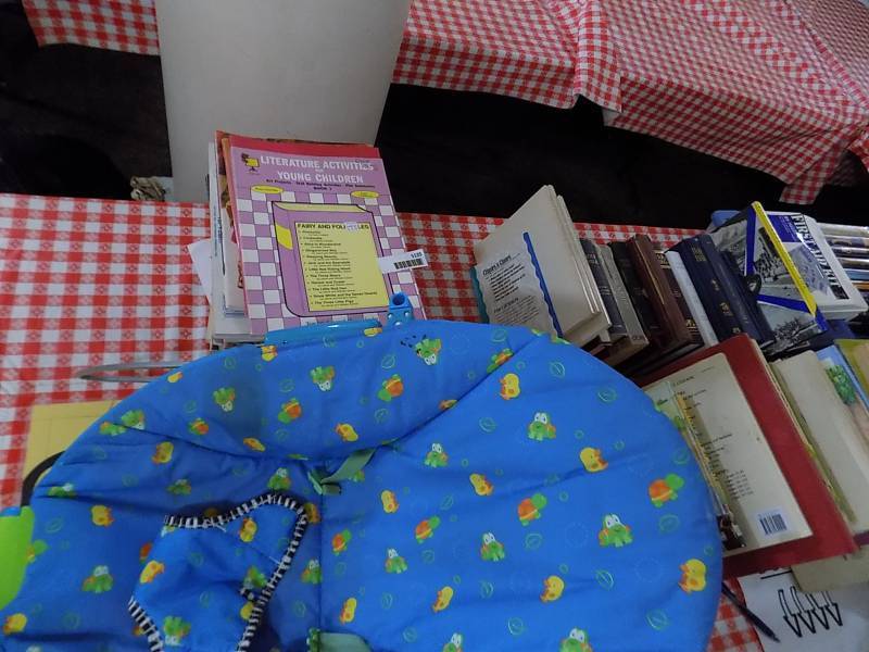 lot 5136 image: Baby Bouncer