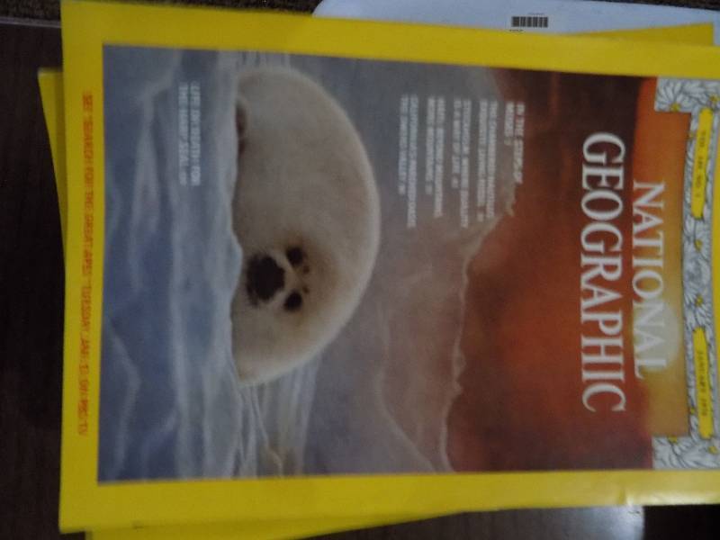 lot 5202 image: National Geographic - 1976 Complete Year