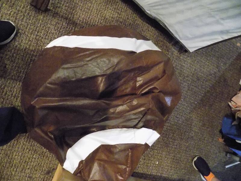 lot 5241 image: Bean Bag Chair