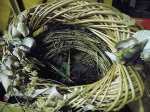 lot 5619 image: Wreaths (3 ea) & Seashells