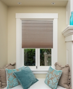 lot 4631 image: Easy Lift Trim at Home Cordless Pleated Light Filtering Fabric Shade