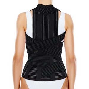 lot 4673 image: ORTONYX Full Back Support Brace