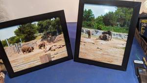 lot 1545 image: two elephant pictures