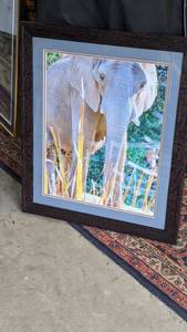 lot 1562 image: 22 12 by 27 12 elephant picture