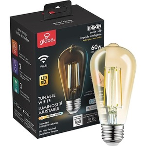 lot 55959 image: Globe Electric LED Light Bulb