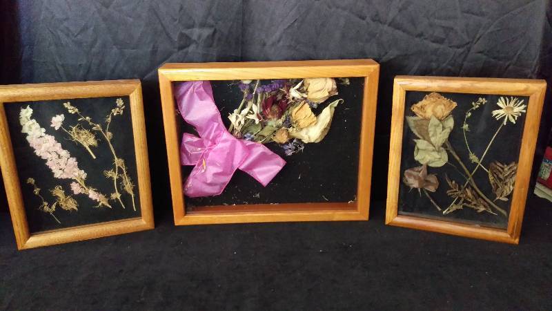 lot 119 image: Set of 3 Shadowboxes with Dried Flowers