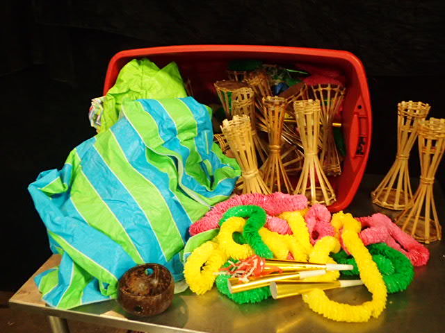 lot 3616 image: Lot of Tropical Party Goods