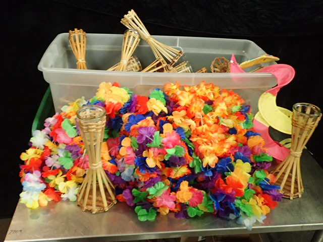 lot 3618 image: Lot of Tropical Party Goods