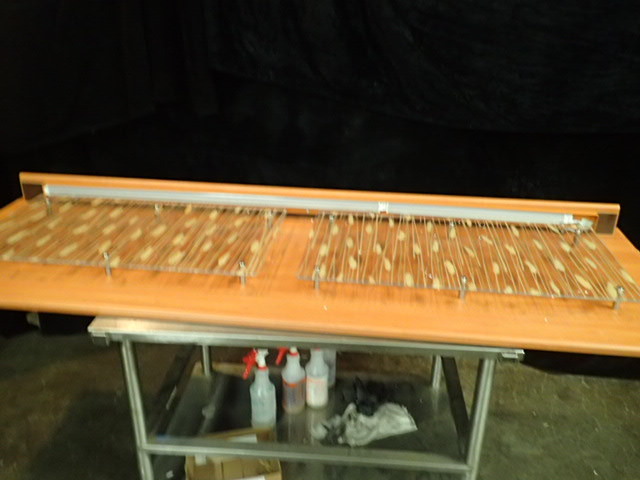 lot 3821 image: (2) Large Lighted Wall-Art Displays
