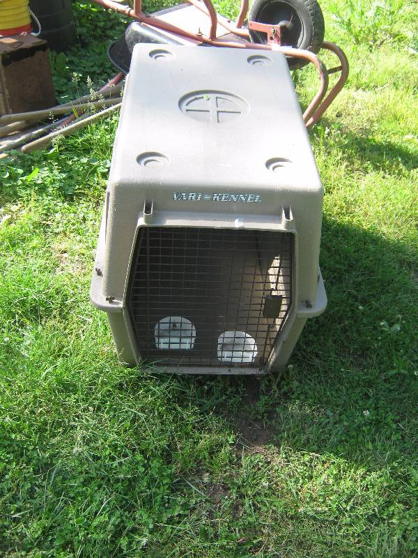 lot 7263 image: Barikennel Dog Kennel 3 x 2 26 tall plastic w metal front closure