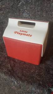 lot 1777 image: Igloo Little Playmate