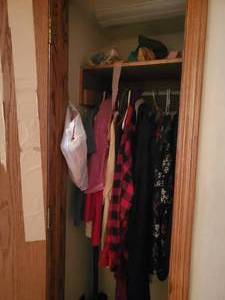 lot 3682 image: All contents in closet