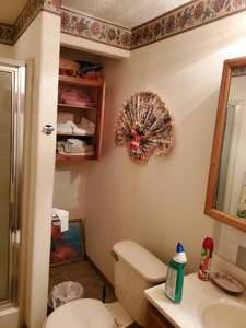 lot 3743 image: All contents in bathroom
