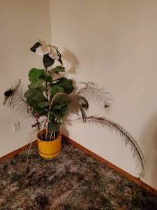 lot 3759 image: Planter wfaux plant