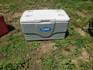 lot 3830 image: Xtreme cooler