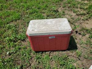 lot 3831 image: Coleman cooler