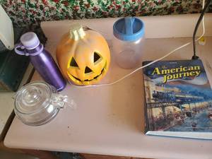 lot 3887 image: Jack-o-lantern, book, water bottle and more
