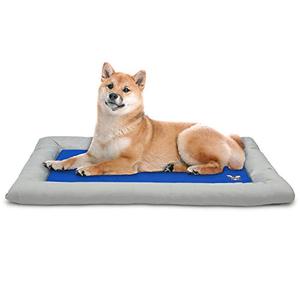 lot 12703 image: Arf Pets Dog Self Cooling Bed Pet Bed �� Solid Gel Based Self Cooling Mat for Pets, Includes a Foam Based Bolster Bed for Extra Comfort