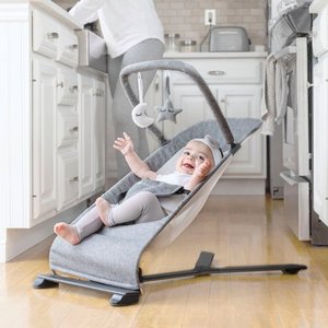 lot 5445 image: Baby Delight Go With Me Alpine - Deluxe Portable Bouncer