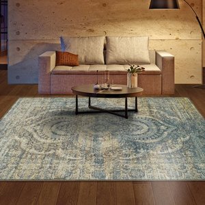 lot 22431 image: Impressions Evana Indoor Modern Distressed Area Rug 4x6