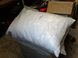 lot 37636 image: New Bed Pillow