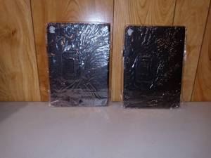 lot 3134 image: Lot Of 2 PC-Ipadpro2eas CarryingProtective Case