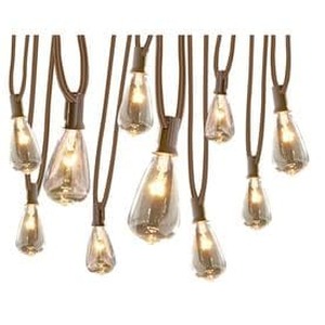 lot 8509 image: allen  roth 12-ft Clear Plug-In Edison String Lights