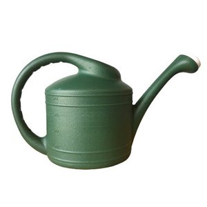 lot 1120 image: Southern Patio WC8108FE 2 Gallon Plastic Watering Can