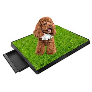 lot 7760 image: iMounTEK Grass Patch for Dogs, Artificial Grass for Dogs Potty with Tray, Fake Grass for Dogs Indoor and Outdoor Use, Puppy Training Pad, Best for Medium and Small Dog (Grass Patch with Tray)
