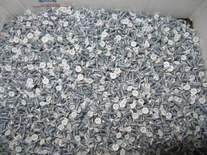 lot 1970 image: 24 LB OF WHITE TOPPED SCREWS