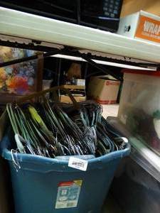 lot 23093 image: Lot of Hangers