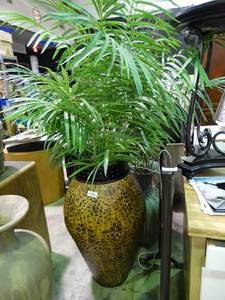 lot 23504 image: Large Decorative Planter