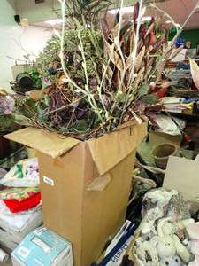 lot 23819 image: Peacock Feathers and Faux Plants