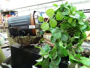 lot 23893 image: Lot of Planters