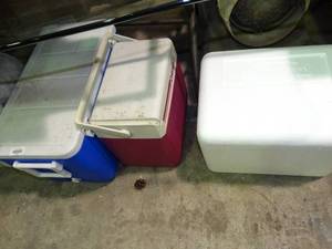 lot 23923 image: Lot of Coolers