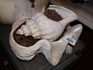 lot 26011 image: 2 Large White Ceramic Planters