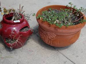 lot 26014 image: 2 Planters with Live Plants