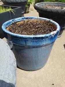 lot 26023 image: Large Blue Ceramic Planter  Free Dirt