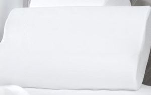 lot 2046 image: Memory Foam Pillow