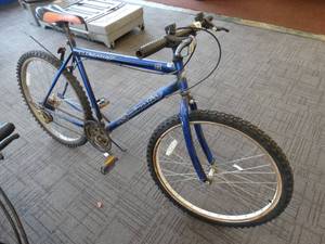 lot 21686 image: Roadmaster Mt. Fury Blue Bicycle