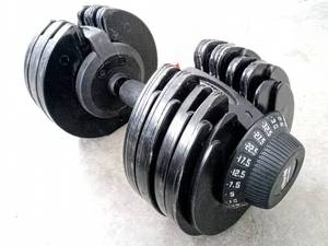 lot 8161 image: Ativafit Dialtech Elite Adjustable Dumbbell Fitness Dial Dumbbell with Handle - Note Single (32.5 lbs on each side) 71.5 lbs