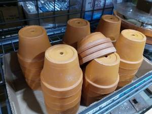 lot 1223 image: Clay Pots Approximately 3 in Diameter Lot of 33