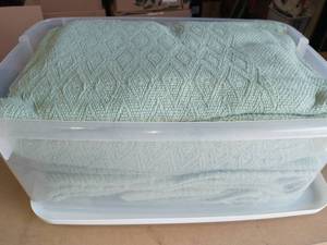 lot 2011 image: Sterilite Tote with Green Throw Blanket