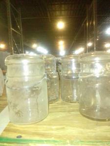 lot 565 image: glassware