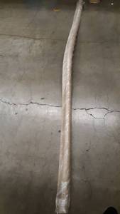 lot 65696 image: Tan Rubber Door Stopper approx 94 12inches