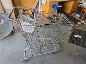 lot 29006 image: Shopping Cart