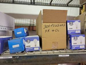 lot 29027 image: Assorted Incandescent Light Bulbs