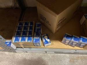 lot 29200 image: Assorted LED and Flood Bulbs