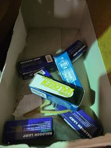 lot 29220 image: Assorted Specialty Bulbs